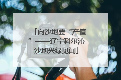 向沙地要“产值”——辽宁科尔沁沙地兴绿见闻
