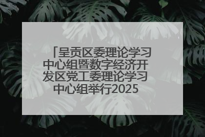 呈贡区委理论学习中心组暨数字经济开发区党工委理论学习中心组举行2025年第七次学习会议