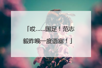 哎……国足！范志毅昨晚一度语塞！