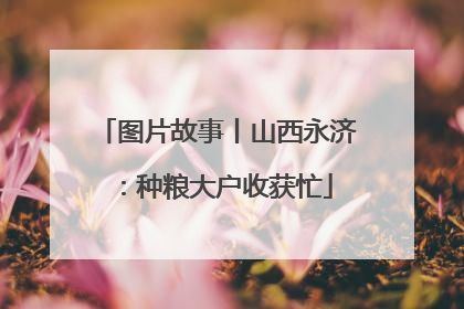 图片故事丨山西永济：种粮大户收获忙