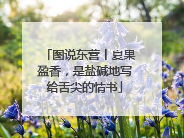 图说东营丨夏果盈香，是盐碱地写给舌尖的情书