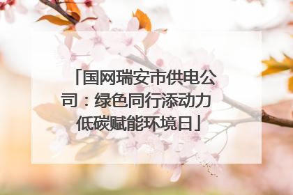 国网瑞安市供电公司：绿色同行添动力 低碳赋能环境日