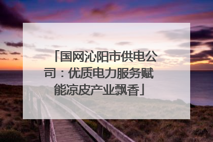 国网沁阳市供电公司：优质电力服务赋能凉皮产业飘香