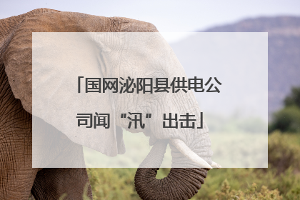 国网泌阳县供电公司闻“汛”出击