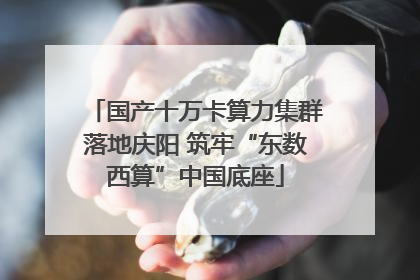 国产十万卡算力集群落地庆阳 筑牢“东数西算”中国底座