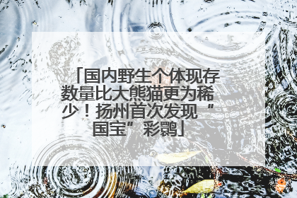 国内野生个体现存数量比大熊猫更为稀少！扬州首次发现“国宝”彩鹮