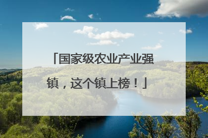 国家级农业产业强镇，这个镇上榜！