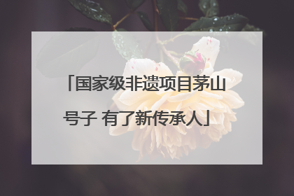 国家级非遗项目茅山号子 有了新传承人
