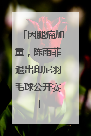 因腿痛加重，陈雨菲退出印尼羽毛球公开赛