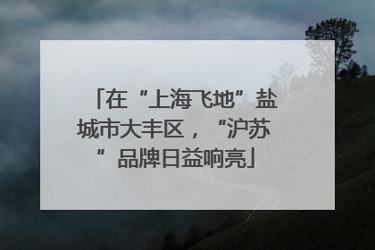 在“上海飞地”盐城市大丰区，“沪苏”品牌日益响亮