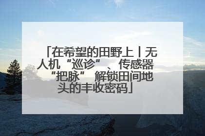 在希望的田野上丨无人机“巡诊”、传感器“把脉” 解锁田间地头的丰收密码