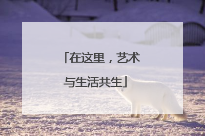 在这里，艺术与生活共生