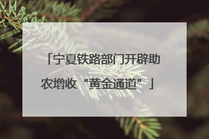 宁夏铁路部门开辟助农增收“黄金通道”