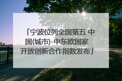 宁波位列全国第五 中国(城市)-中东欧国家开放创新合作指数发布