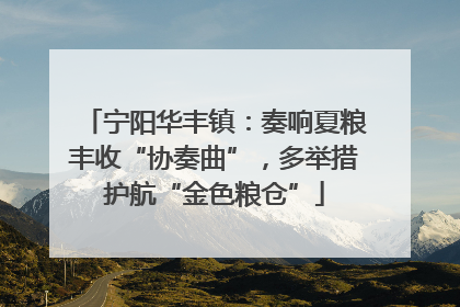 宁阳华丰镇：奏响夏粮丰收“协奏曲”，多举措护航“金色粮仓”
