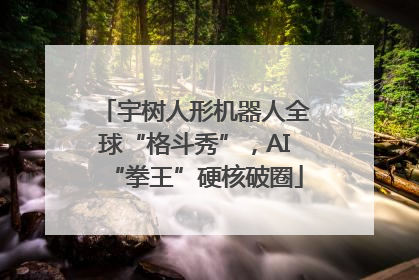 宇树人形机器人全球“格斗秀”，AI“拳王”硬核破圈