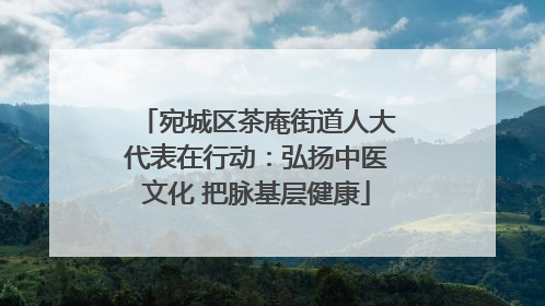 宛城区茶庵街道人大代表在行动：弘扬中医文化 把脉基层健康