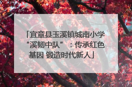 宜章县玉溪镇城南小学“溪韧中队”：传承红色基因 锻造时代新人