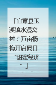 宜章县玉溪镇水浸窝村：万亩杨梅开启夏日“甜蜜经济”