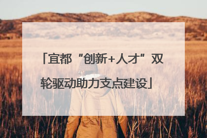 宜都“创新+人才”双轮驱动助力支点建设