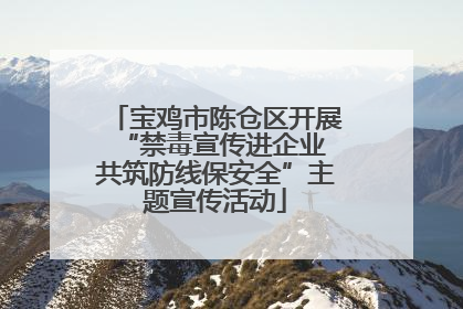 宝鸡市陈仓区开展“禁毒宣传进企业 共筑防线保安全”主题宣传活动