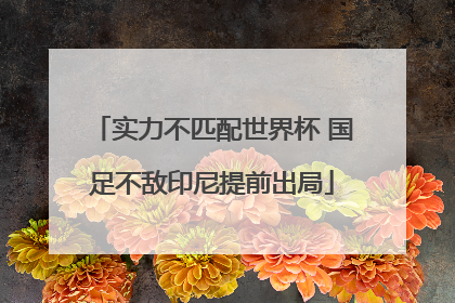 实力不匹配世界杯 国足不敌印尼提前出局