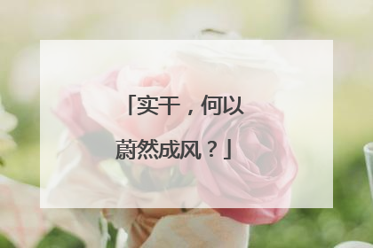 实干，何以蔚然成风？