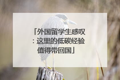 外国留学生感叹：这里的低碳经验值得带回国