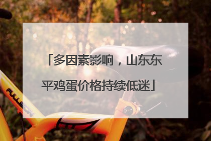 多因素影响，山东东平鸡蛋价格持续低迷