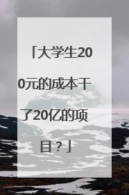 大学生200元的成本干了20亿的项目？