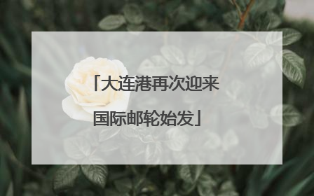 大连港再次迎来国际邮轮始发