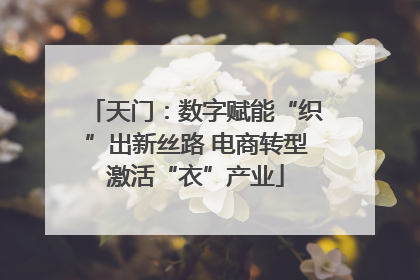 天门：数字赋能“织”出新丝路 电商转型激活“衣”产业