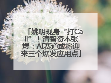 姚明现身“打Call”！清智资本张煜：AI赛道或将迎来三个爆发应用点