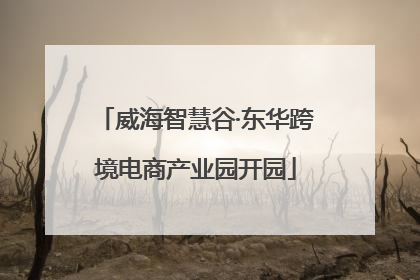 威海智慧谷·东华跨境电商产业园开园