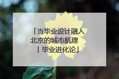 当毕业设计融入北京的城市肌理 丨毕业进化论