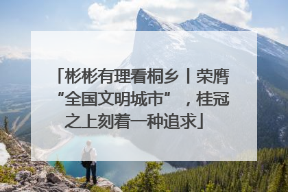 彬彬有理看桐乡丨荣膺“全国文明城市”，桂冠之上刻着一种追求