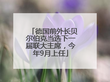 德国前外长贝尔伯克当选下一届联大主席，今年9月上任