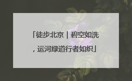 徒步北京｜碧空如洗，运河绿道行者如织