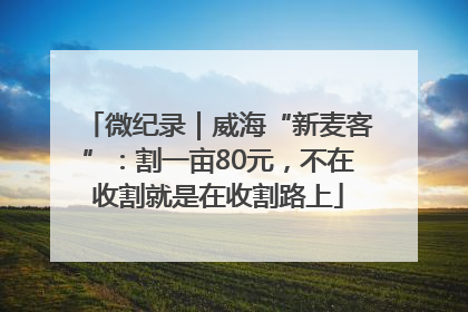微纪录｜威海“新麦客”：割一亩80元，不在收割就是在收割路上