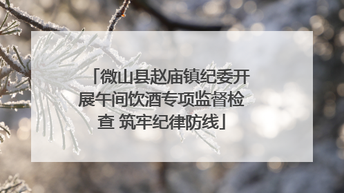 微山县赵庙镇纪委开展午间饮酒专项监督检查 筑牢纪律防线