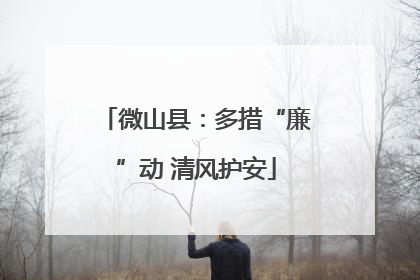 微山县：多措“廉”动 清风护安