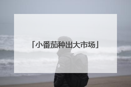 小番茄种出大市场