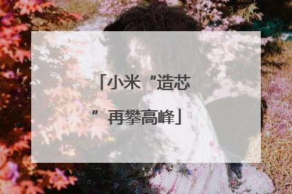 小米“造芯”再攀高峰