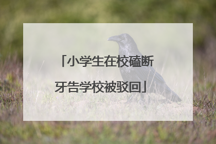 小学生在校磕断牙告学校被驳回