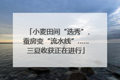 小麦田间“选秀”、蚕房变“流水线”……三夏收获正在进行
