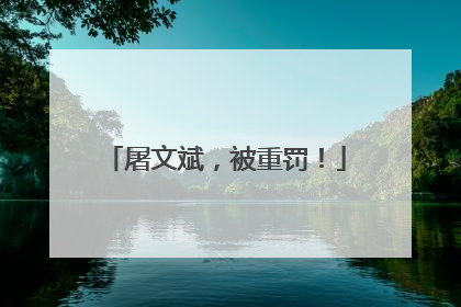 屠文斌，被重罚！