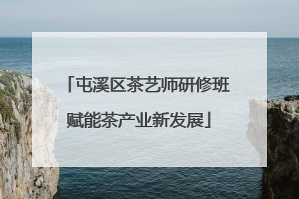屯溪区茶艺师研修班赋能茶产业新发展