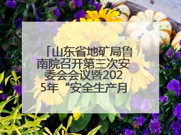山东省地矿局鲁南院召开第三次安委会会议暨2025年“安全生产月”活动启动仪式
