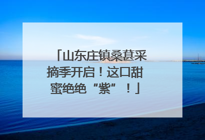 山东庄镇桑葚采摘季开启！这口甜蜜绝绝“紫”！