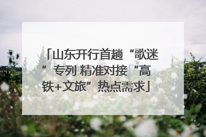 山东开行首趟“歌迷”专列 精准对接“高铁+文旅”热点需求
